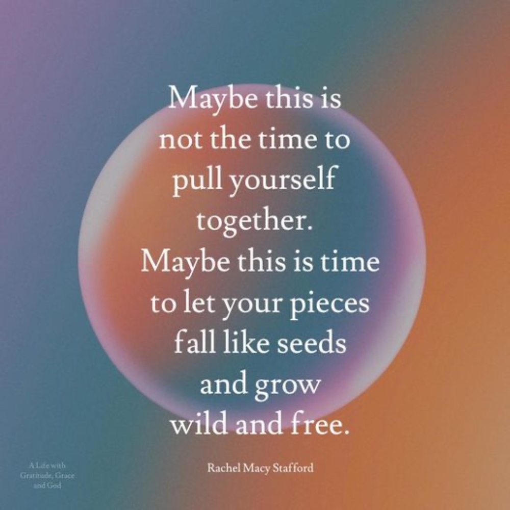 Meet your Posher, Josie